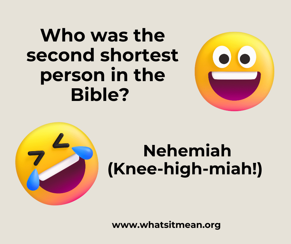 Who was the 2nd shortest man in the Bible